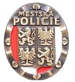 Výroční zpráva o činnosti městské policie (2018)