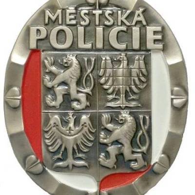 VÝROČNÍ ZPRÁVA O ČINNOSTI MĚSTSKÉ POLICIE JESENÍK ZA ROK 2020