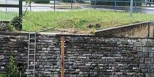 MONITORING VODNÍ TOKŮ V JESENÍKU